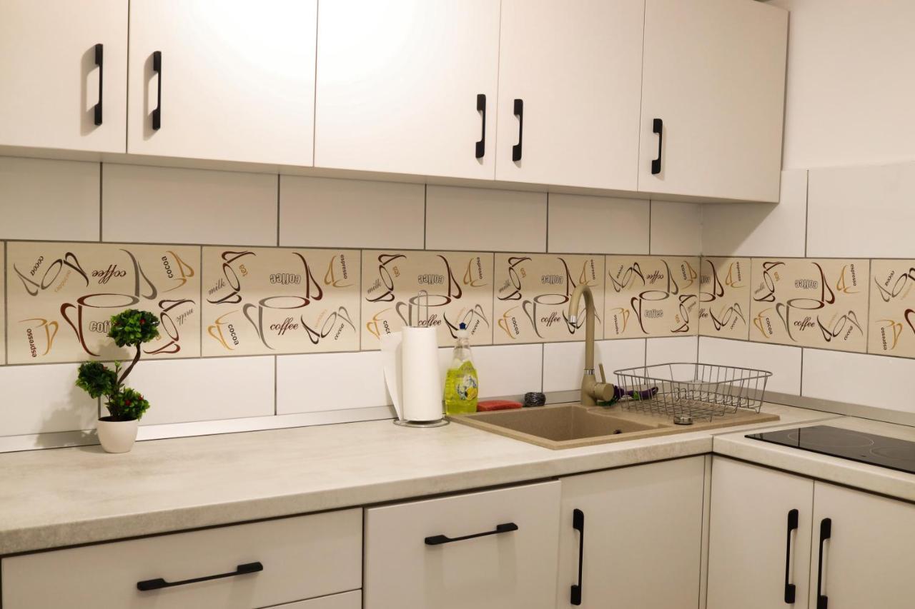 Signal Suites With Garden & Mountain View 브라쇼브 외부 사진